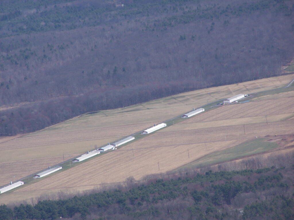 Photo: Chicken Barns