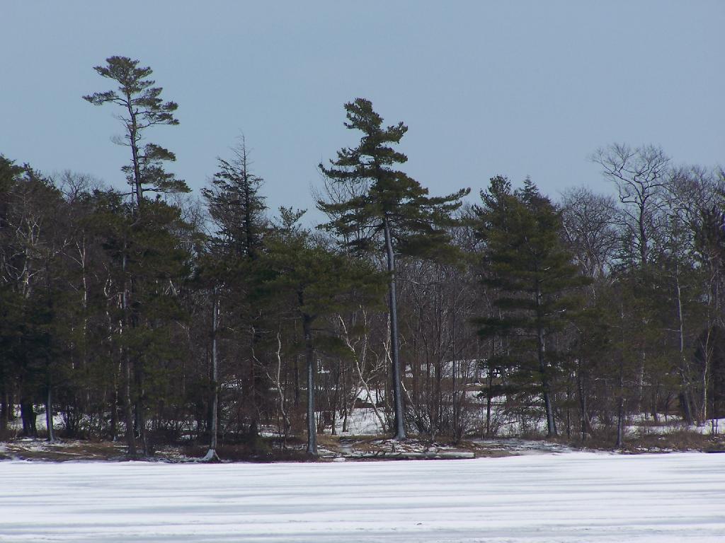Photo: Across the Lake Photo: Across the Lake