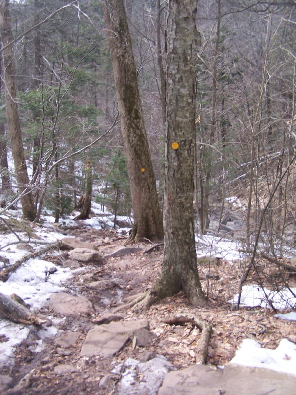 Photo: Trail
