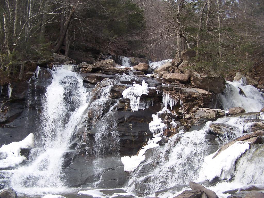 Photo: Lower Falls