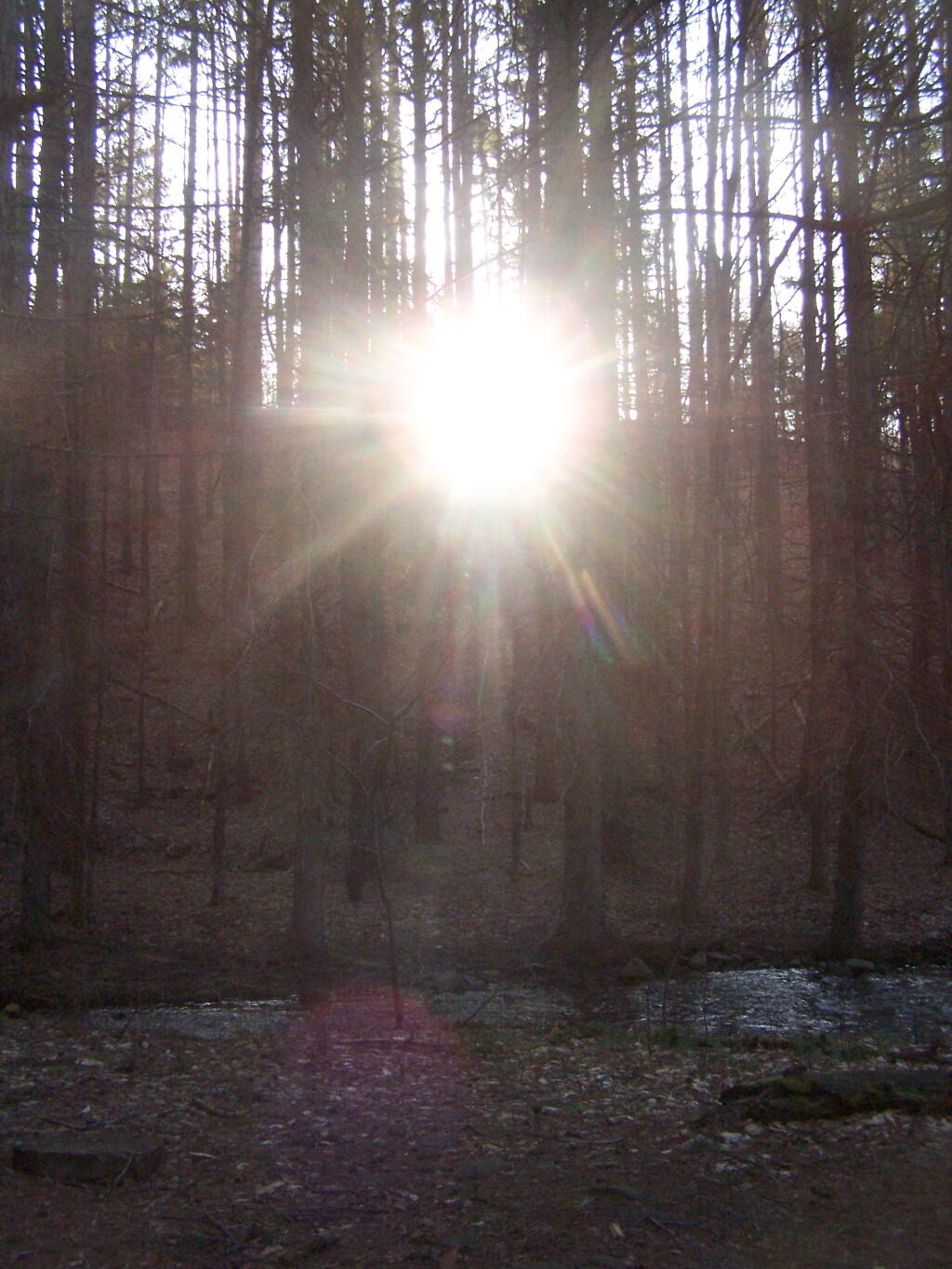 Photo: Sunrise Photo: Sunrise