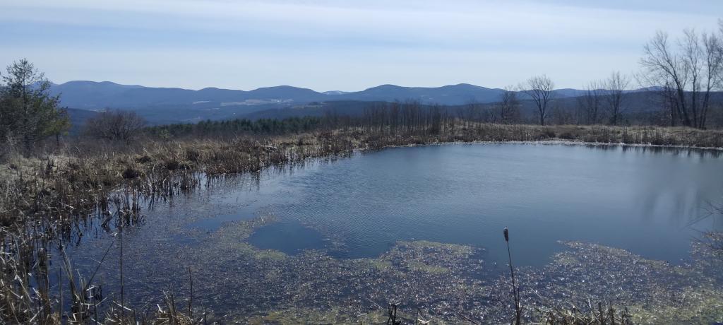 Photo: Hillcross Farm Parcel now posted as State Forest