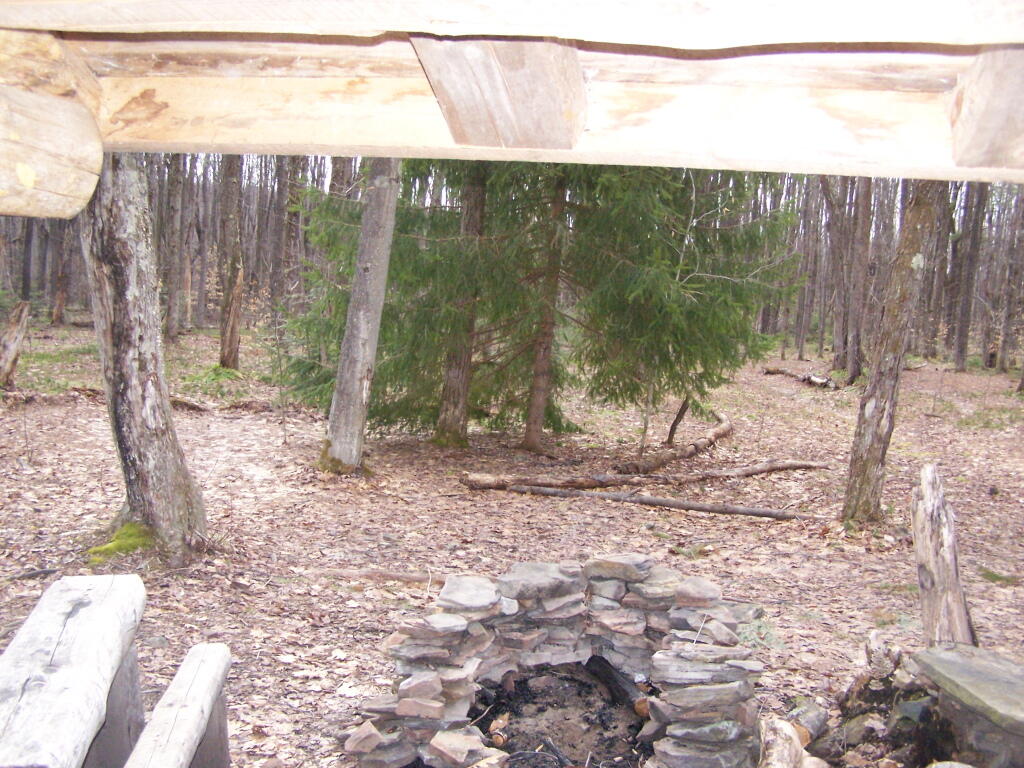 Photo: Looking Out the Lean-To