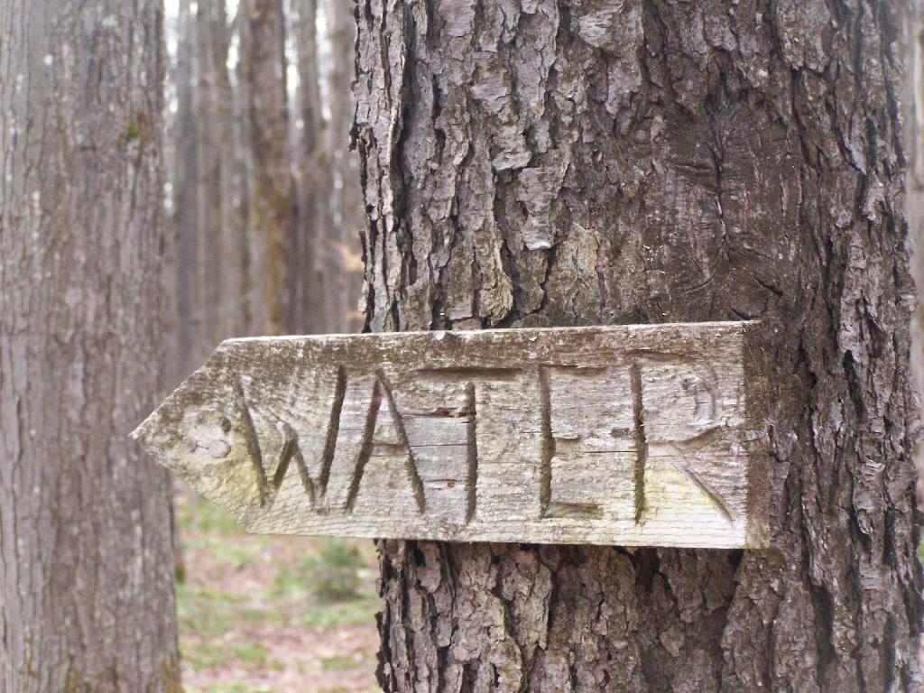 Photo: Water Photo: Water