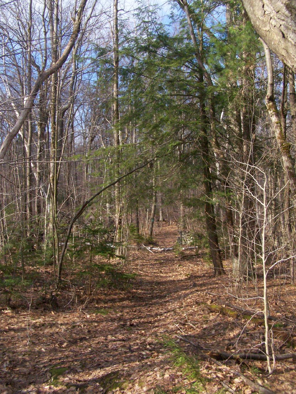 Photo: Along the Long Path Photo: Along the Long Path
