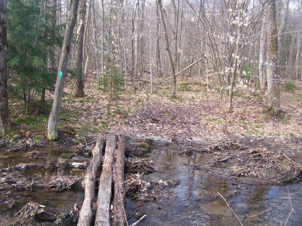 Photo: Log Bridge Across Crick