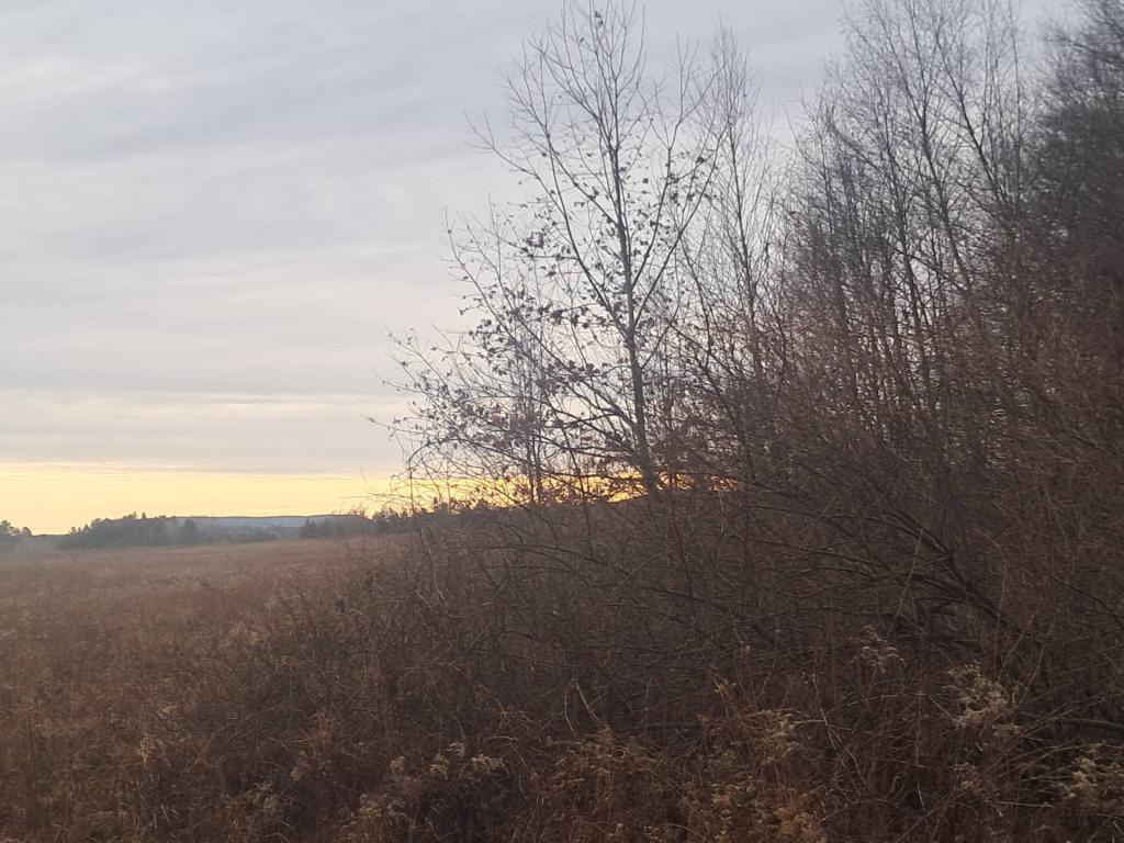 Photo: Untitled Photo: Untitled