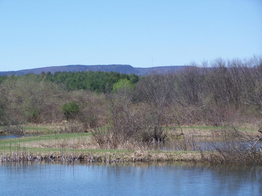 Photo: Research Ponds Photo: Research Ponds