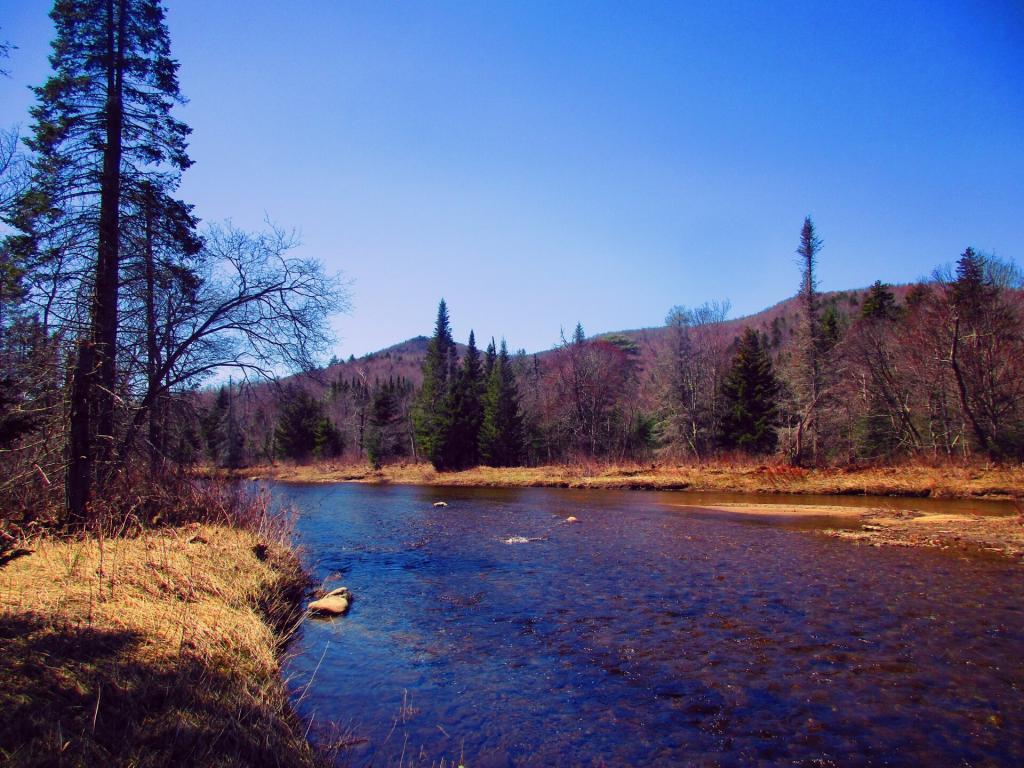 Photo: East Branch Sacandaga River