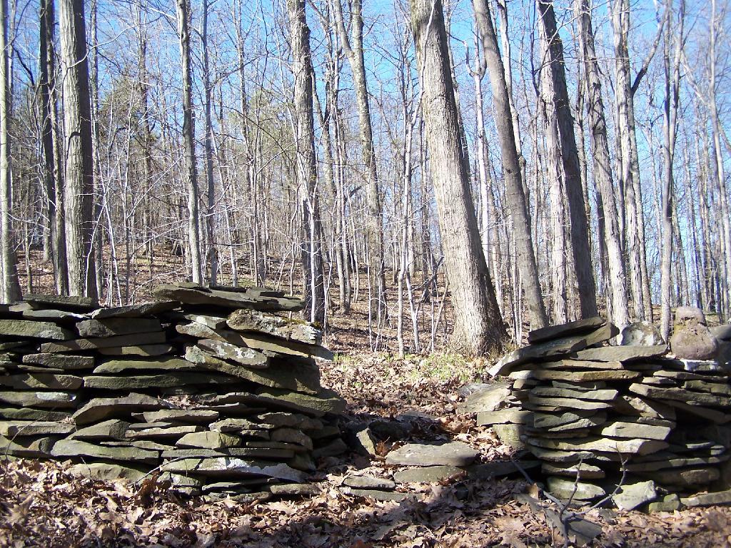 Photo: LP Crosses Stone Wall Photo: LP Crosses Stone Wall