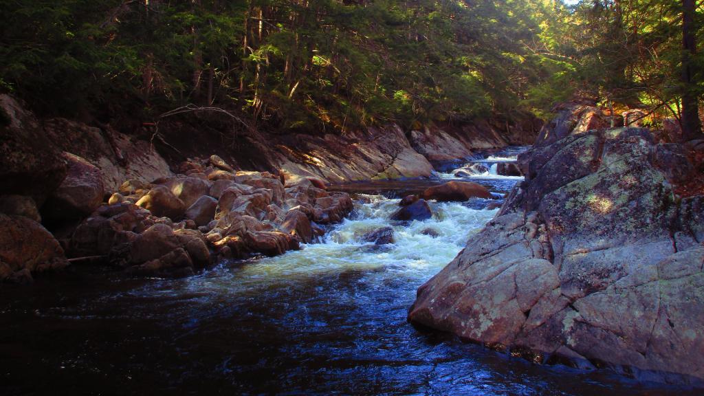 Photo: Along the East Branch Gorge Trail