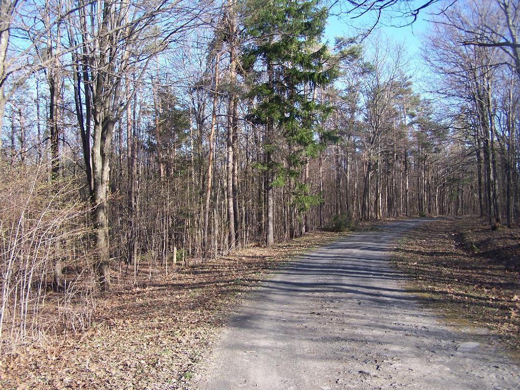 Photo: Pheasant Truck Trail Photo: Pheasant Truck Trail
