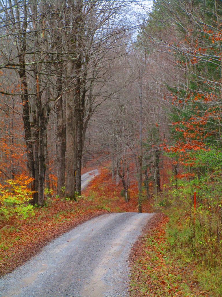 Photo: Windy Road
