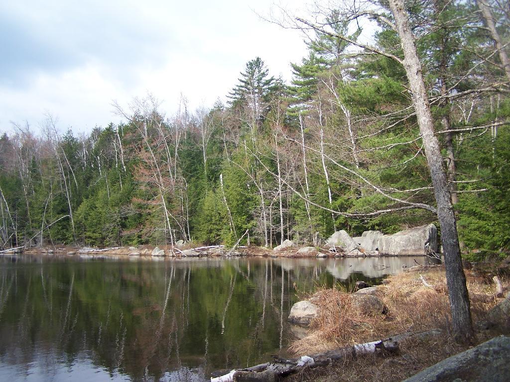 Photo: Crane Pond