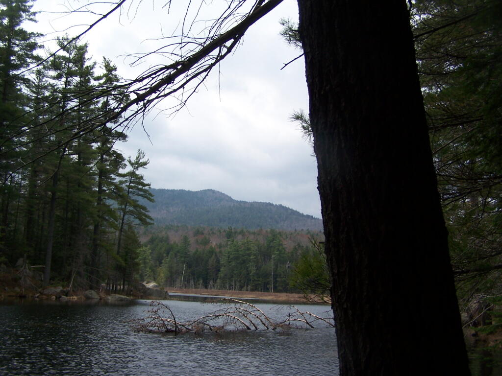 Photo: Glidden Marsh with Pharaoh Mountain in Distance