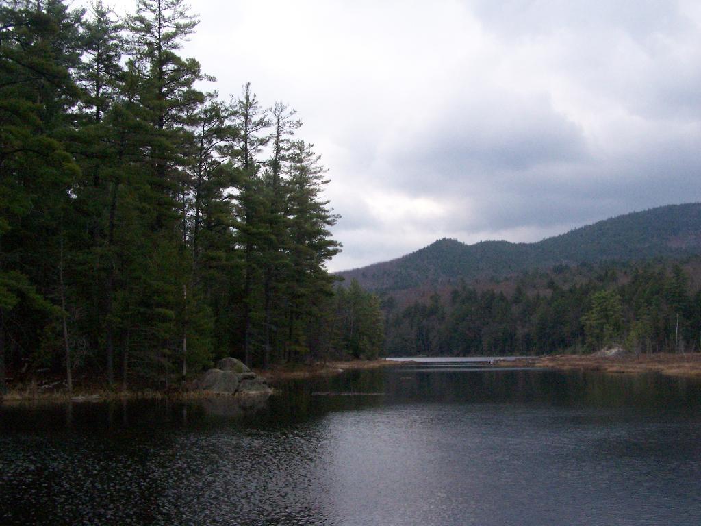 Photo: Stormy at Glidden Swamp Photo: Stormy at Glidden Swamp
