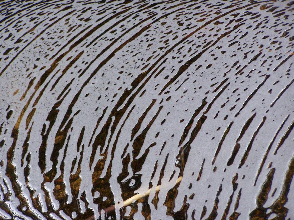 Photo: Suds Photo: Suds