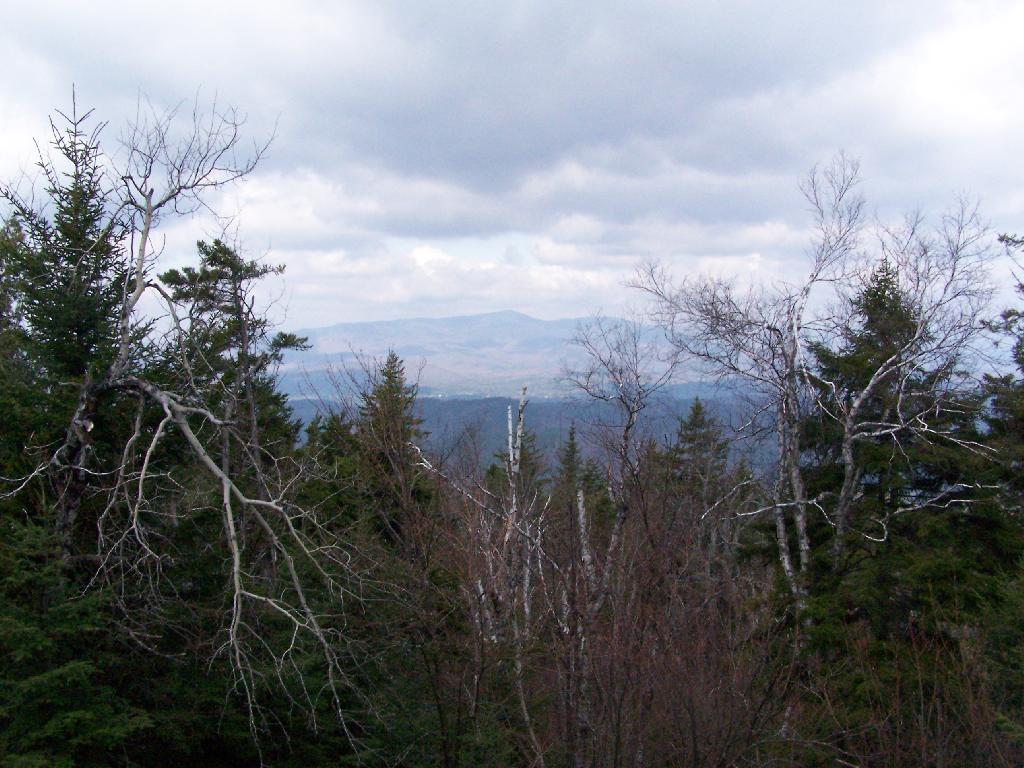 Photo: Hoffman Mountain Thru the Trees