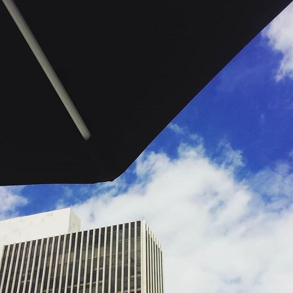 Photo: The joys of shade