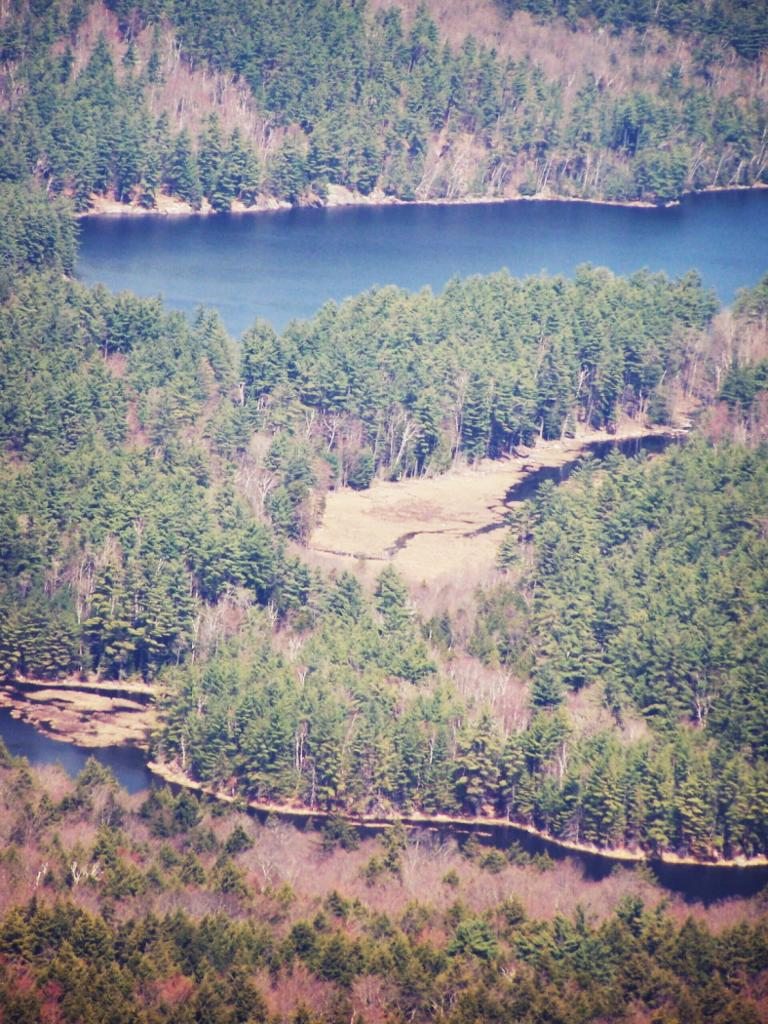 Photo: Glidden Marsh and Oxbow Pond Photo: Glidden Marsh and Oxbow Pond