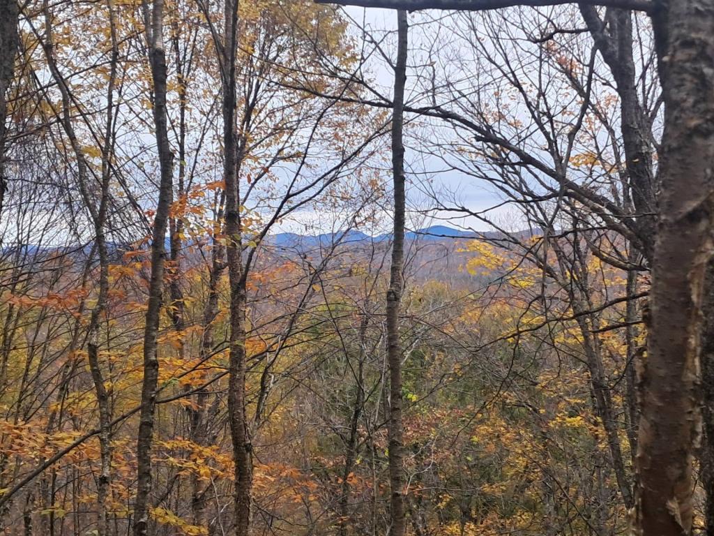 Photo: Views Climbing the Mountain Photo: Views Climbing the Mountain