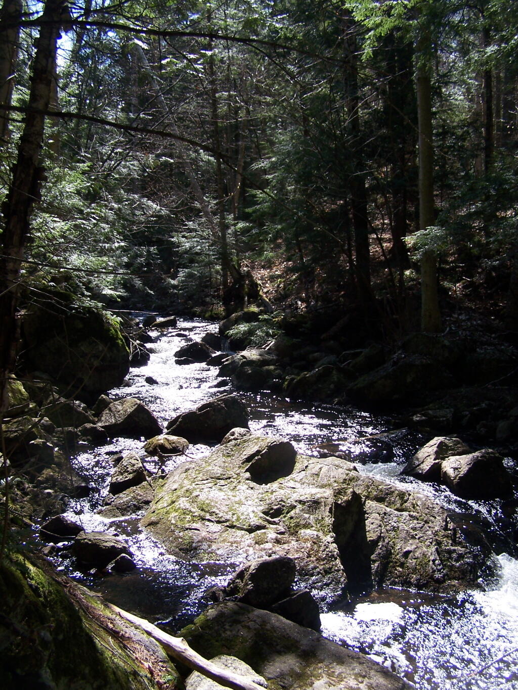 Photo: Outlet of Glidden Marsh Photo: Outlet of Glidden Marsh