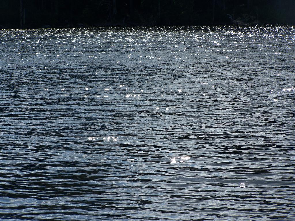 Photo: Glidden Marsh Sparkles Photo: Glidden Marsh Sparkles