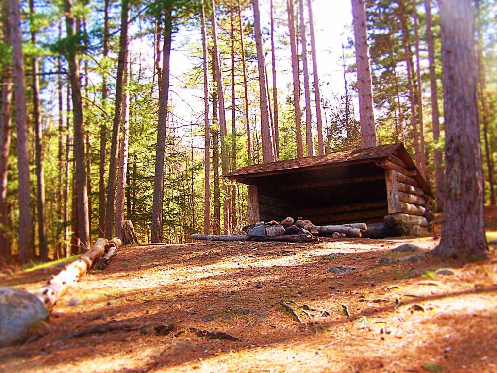 Photo: Oxbow Pond LeanTo Photo: Oxbow Pond LeanTo