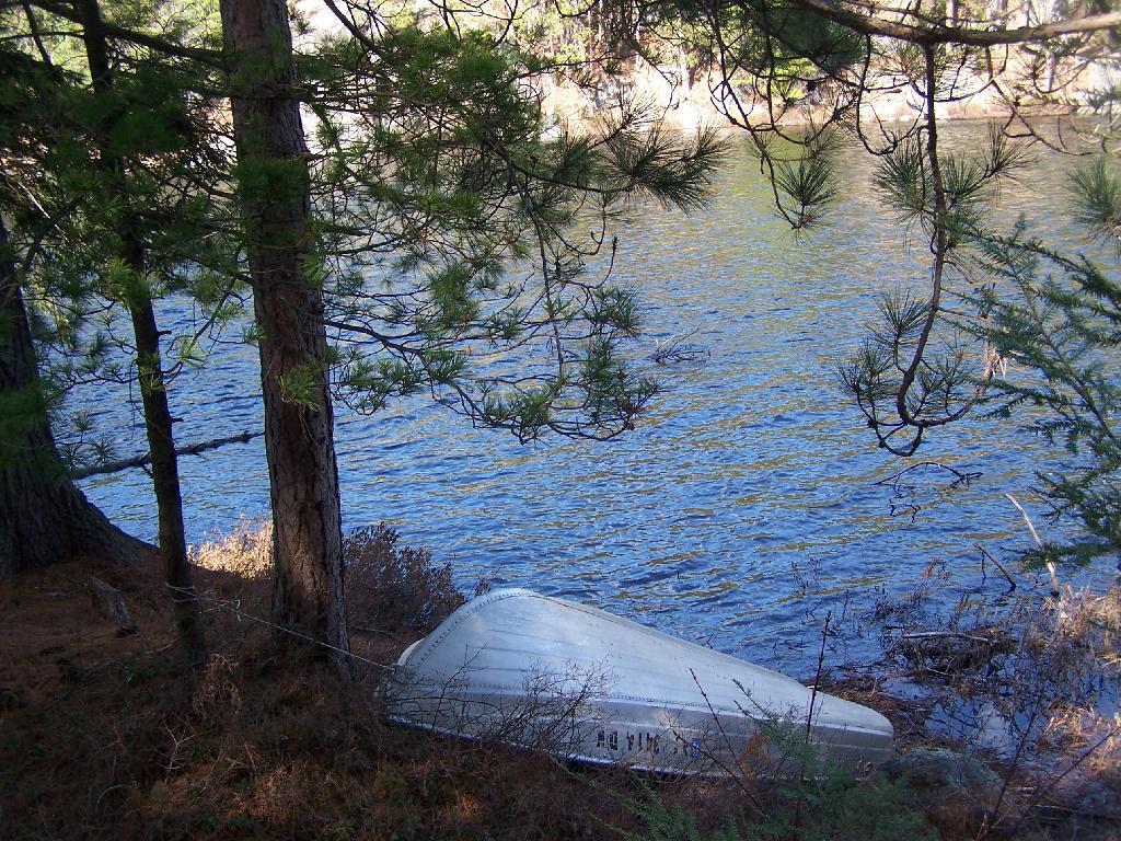 Photo: Rowboat Tied Up