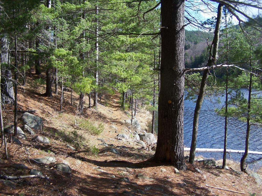 Photo: Along Long Swing Trail at Glidden Marsh Photo: Along Long Swing Trail at Glidden Marsh