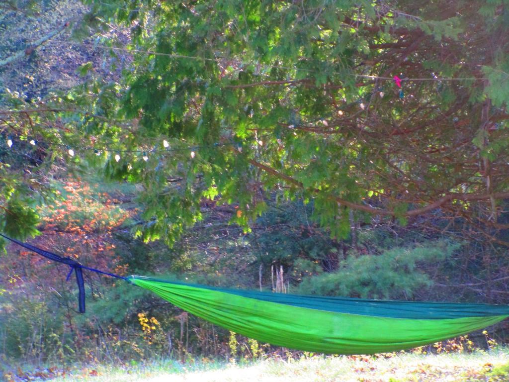 Photo: Lazy spring days