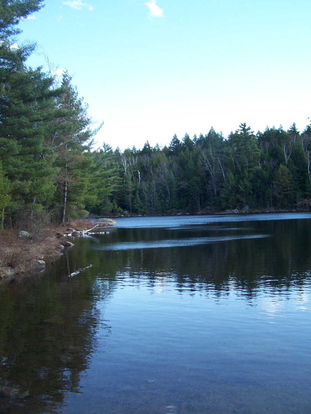 Photo: Crane Pond Photo: Crane Pond