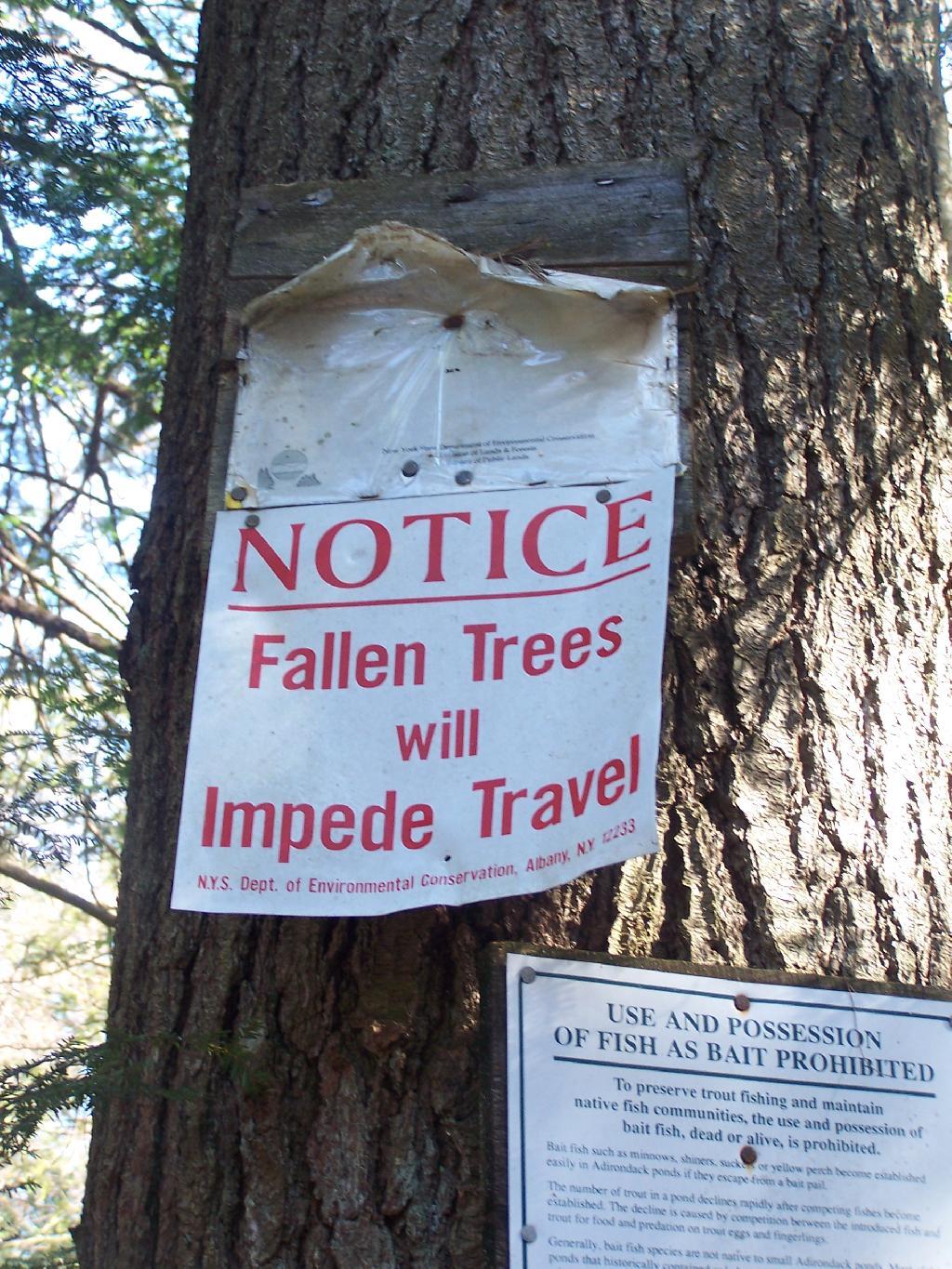 Photo: Fallen Trees Will Impede Travel Sign on Crane Pond Road