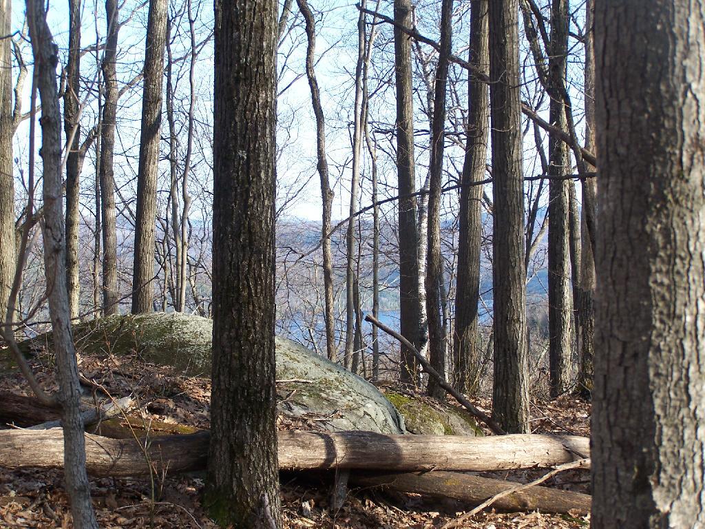 Photo: Schroon Thru The Trees Photo: Schroon Thru The Trees
