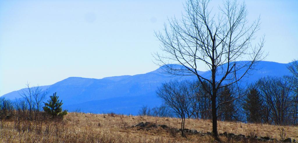 Photo: Fields at Hillcross Parcel Photo: Fields at Hillcross Parcel