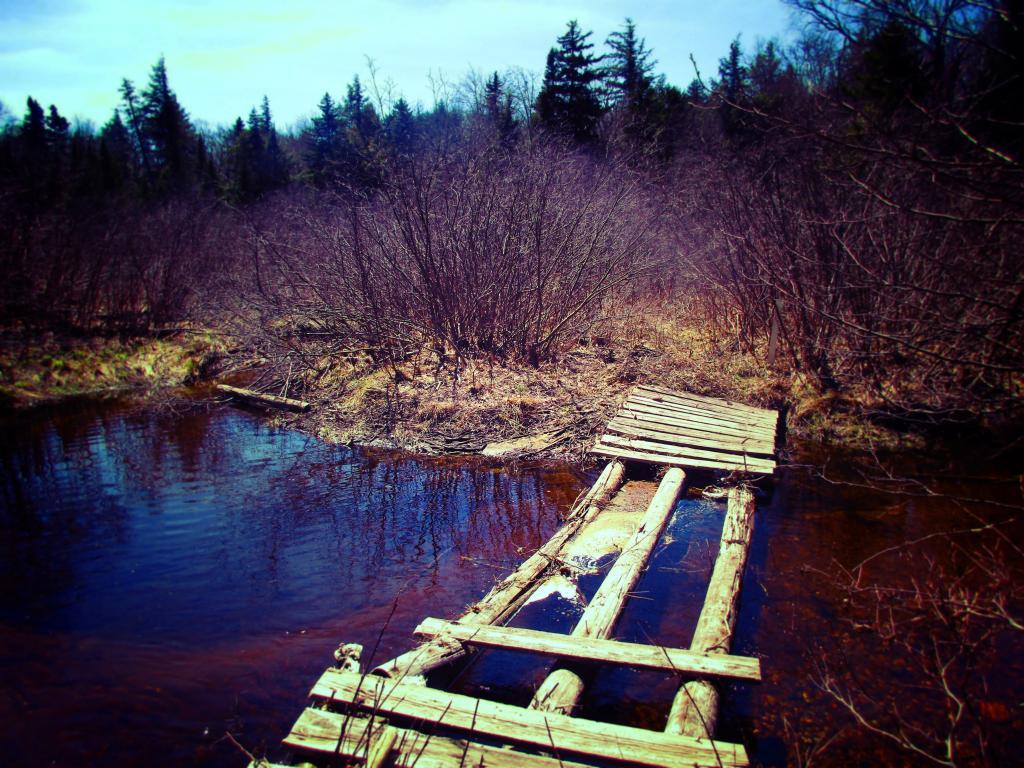 Photo: Georgia Creek Crossing