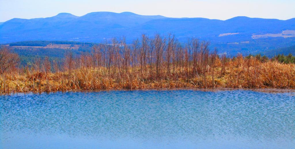 Photo: Hillcross Farm Pond Photo: Hillcross Farm Pond