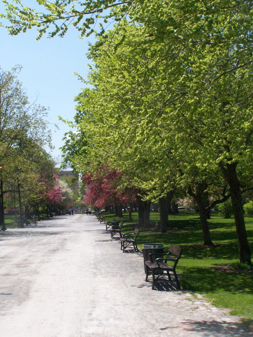 Photo: Park Benches in Springtime