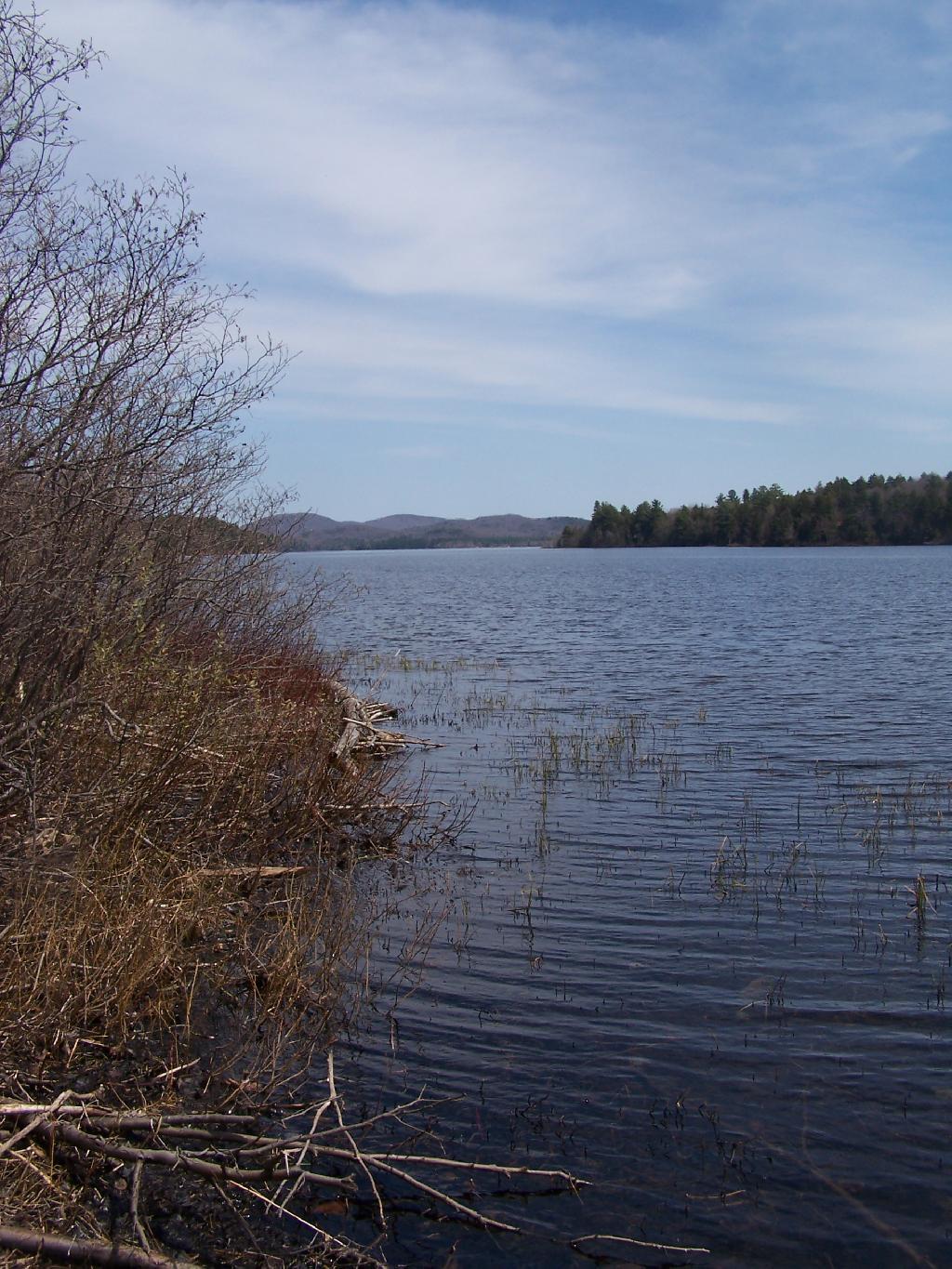 Photo: Shoreline