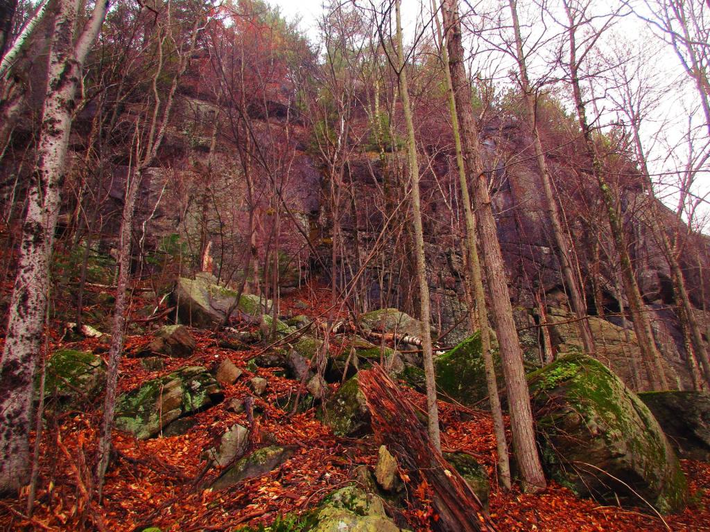 Photo: Ledge Above Eagle Pond Photo: Ledge Above Eagle Pond