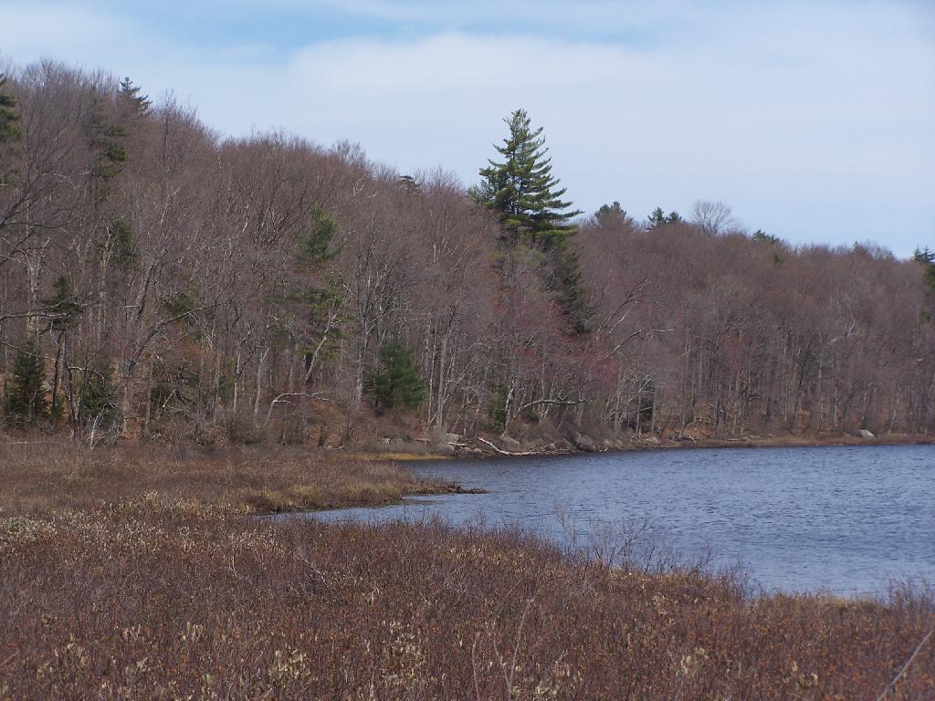 Photo: Good Luck Lake Shoreline Photo: Good Luck Lake Shoreline