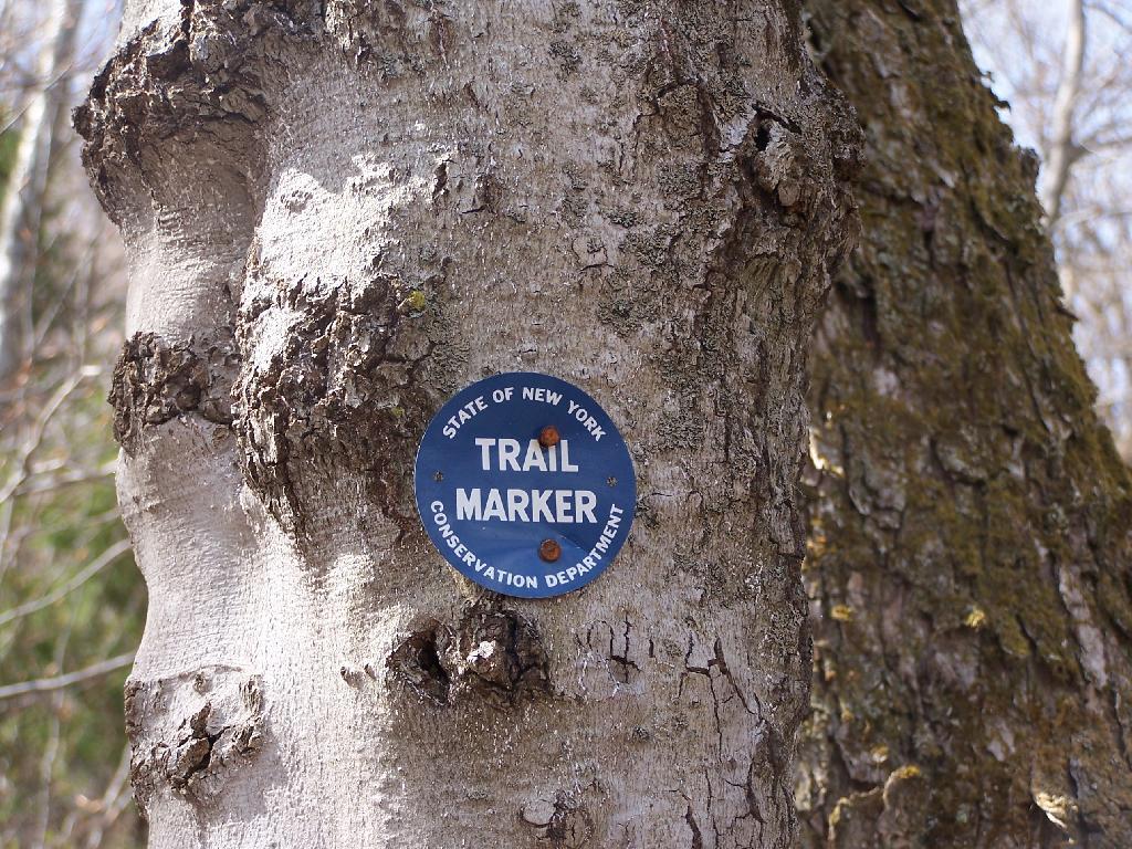 Photo: Old Conservation Department Marker Photo: Old Conservation Department Marker