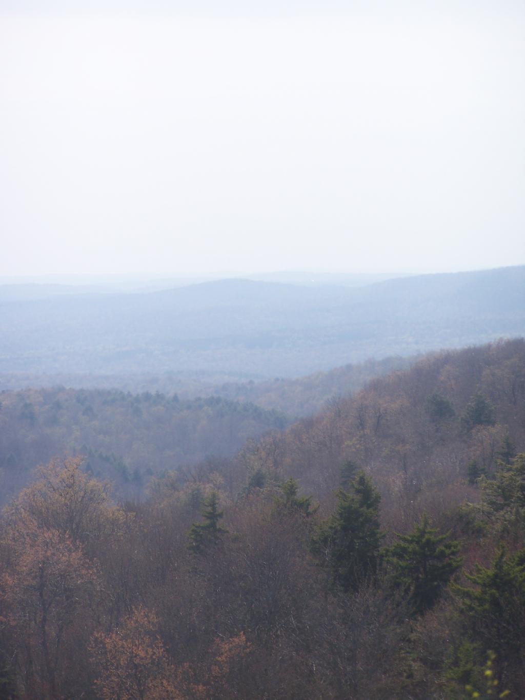 Photo: South