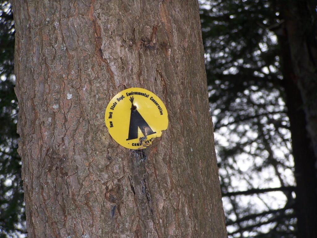 Photo: Designated Campsite Along Good Luck Lake