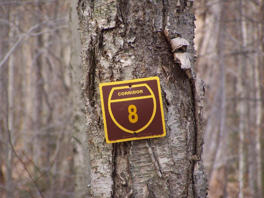 Photo: Snowmobile Corridor Number 8