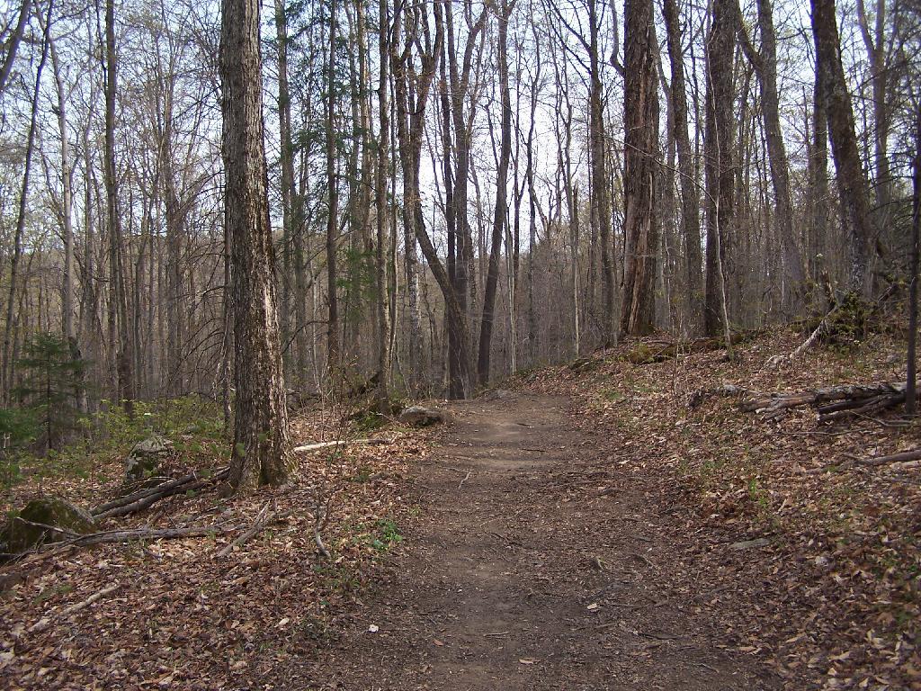 Photo: Trail Up Kane Mountain