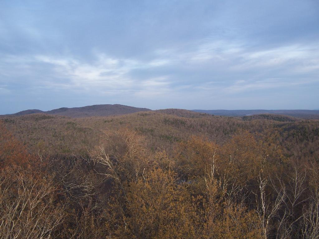 Photo: East