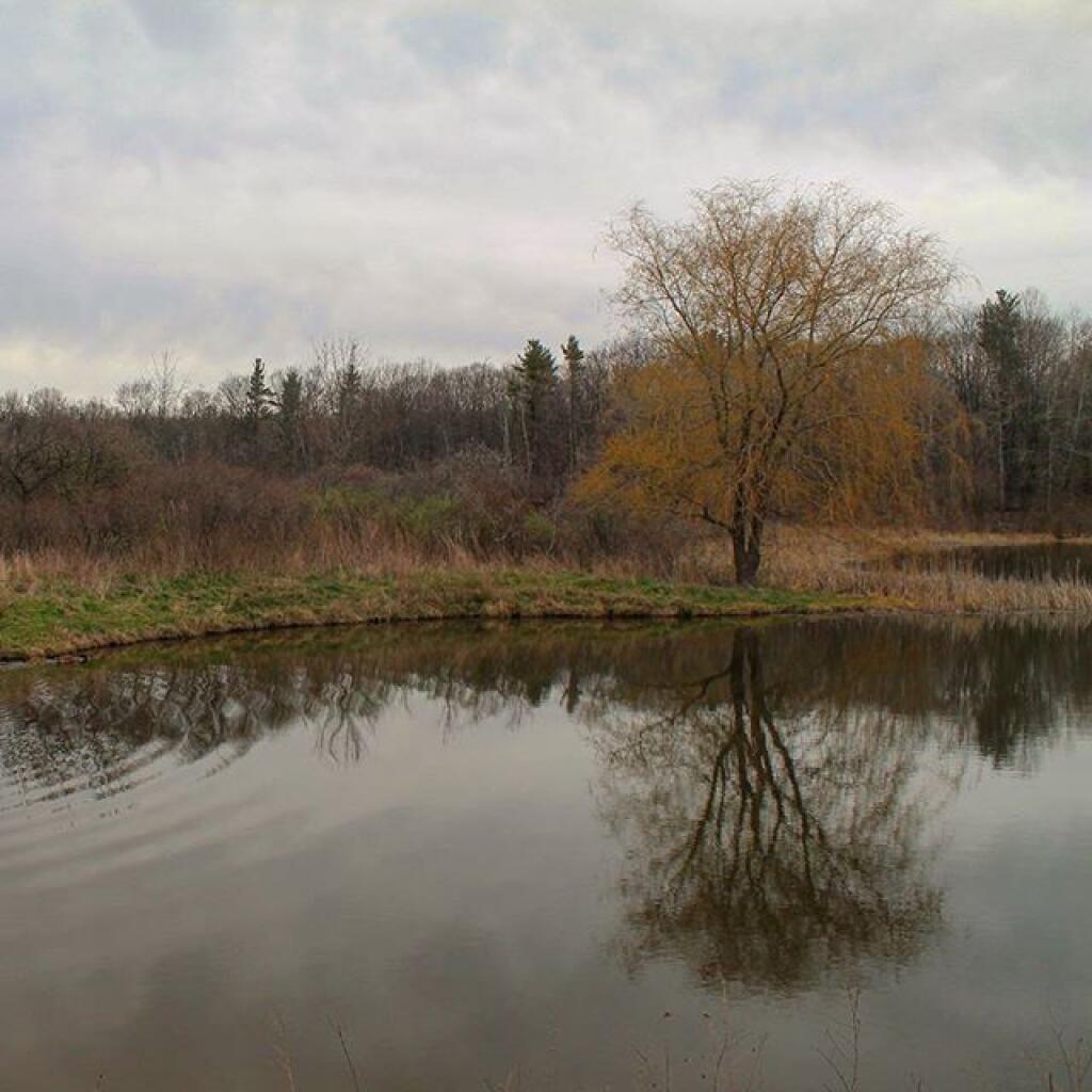 Photo: Foster Pond