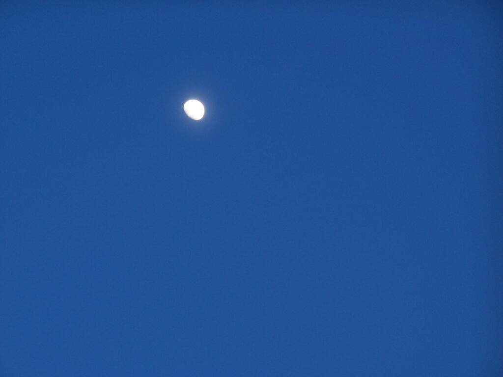 Photo: Almost a Full Moon Photo: Almost a Full Moon