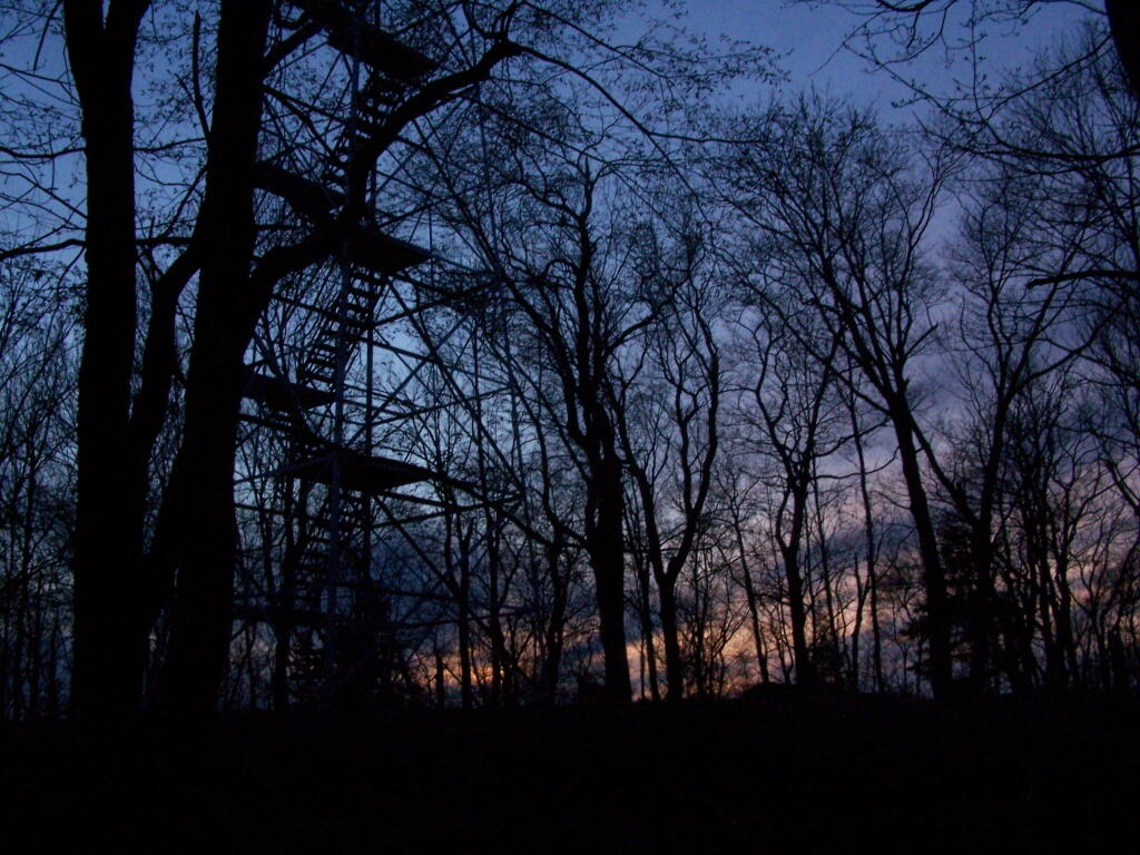 Photo: Last Light of the Day